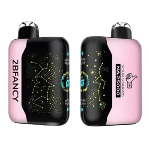 2BFancy Sour Straws 25000